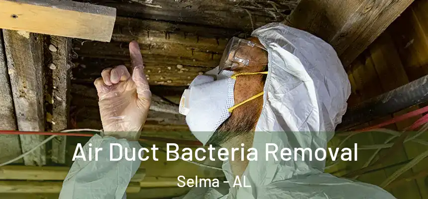 Air Duct Bacteria Removal Selma - AL