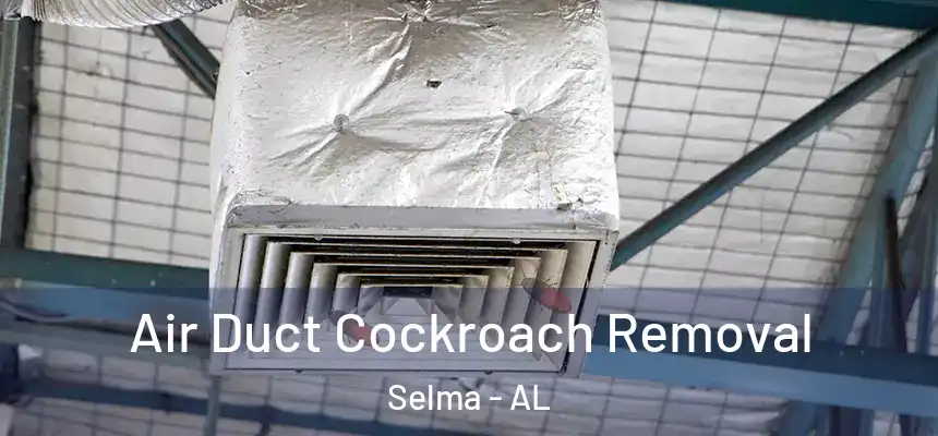 Air Duct Cockroach Removal Selma - AL