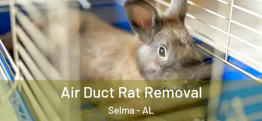 Air Duct Rat Removal Selma - AL