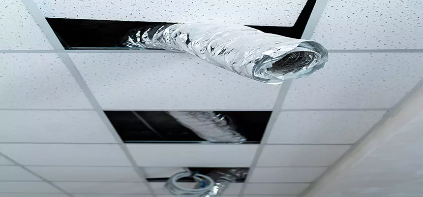 Our Air Duct Pet Hair Removal Services in Selma, AL