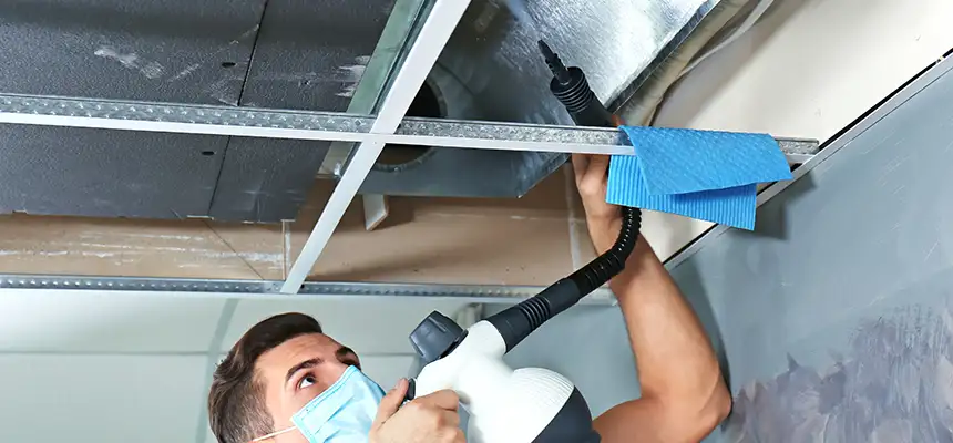 Our Air Duct Rodent Removal Services in Selma, AL