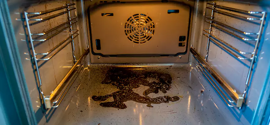 Our Dryer Vent Mold Cleaning Services in Selma, AL