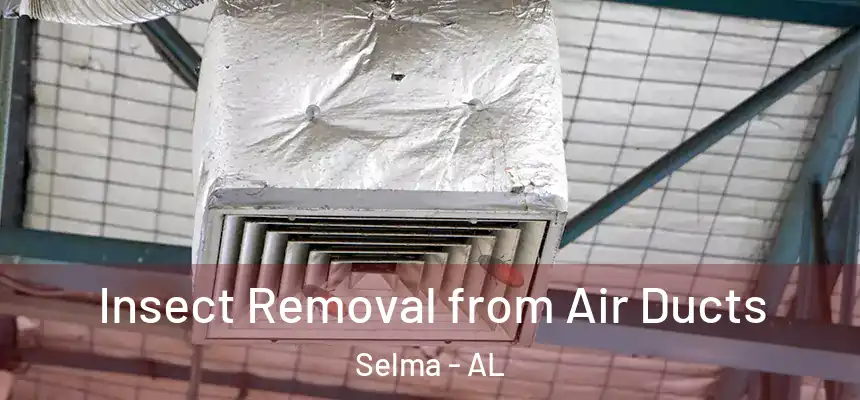 Insect Removal from Air Ducts Selma - AL
