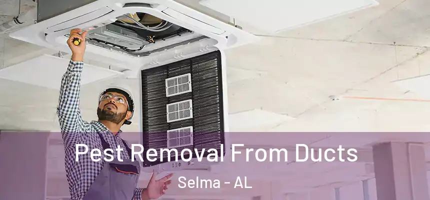 Pest Removal From Ducts Selma - AL