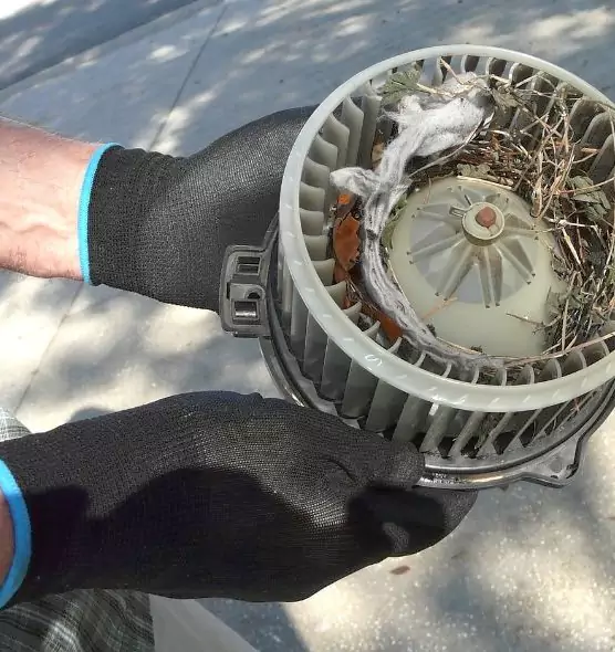 About Air Duct Mice Removal in Selma, AL