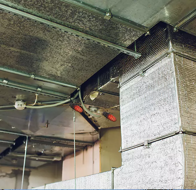 Why Homeowners & Businesses Trust Us in Selma, AL?