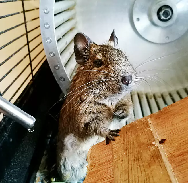 Why Homeowners & Businesses Trust Us Selma, AL