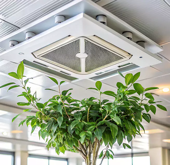 Why Homeowners & Businesses Trust Us in Selma, AL