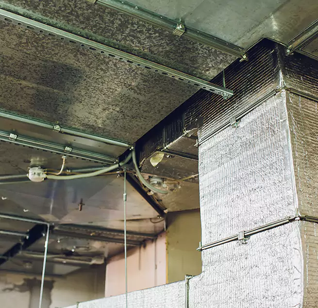 Why Homeowners & Businesses Trust Us in Selma, AL?